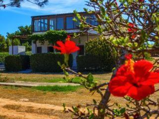 Appartamento Casa Relax Acqua Marina Favignana Esterno foto